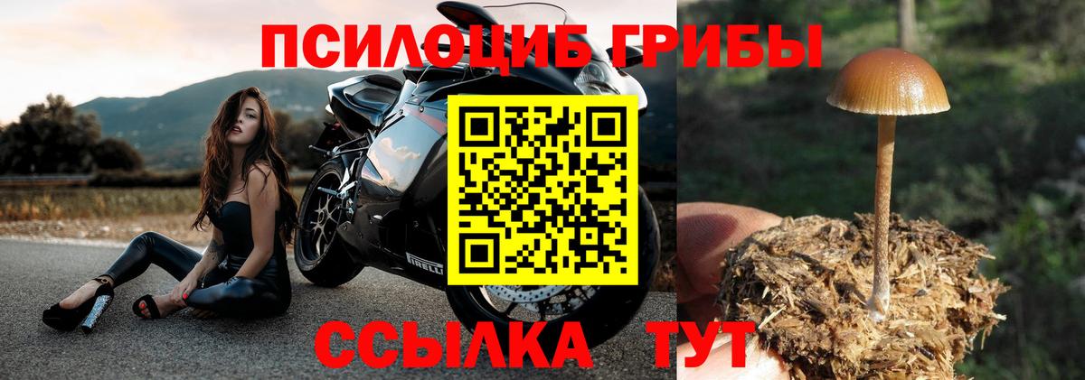 Нефтекамск  Псилоцибиновые грибы Cubensis  Вход с VPN 